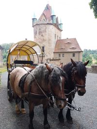 Vor dem Schloss Kuckuckstein